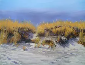 Winter Dunes