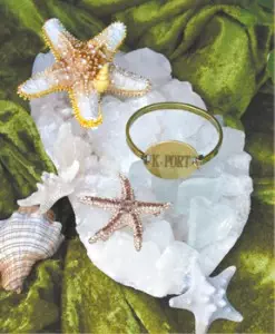 starfish_kport
